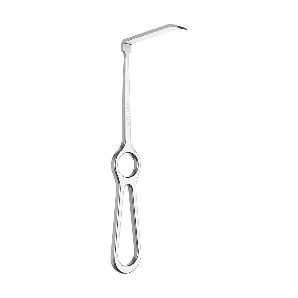Ramus Retractor